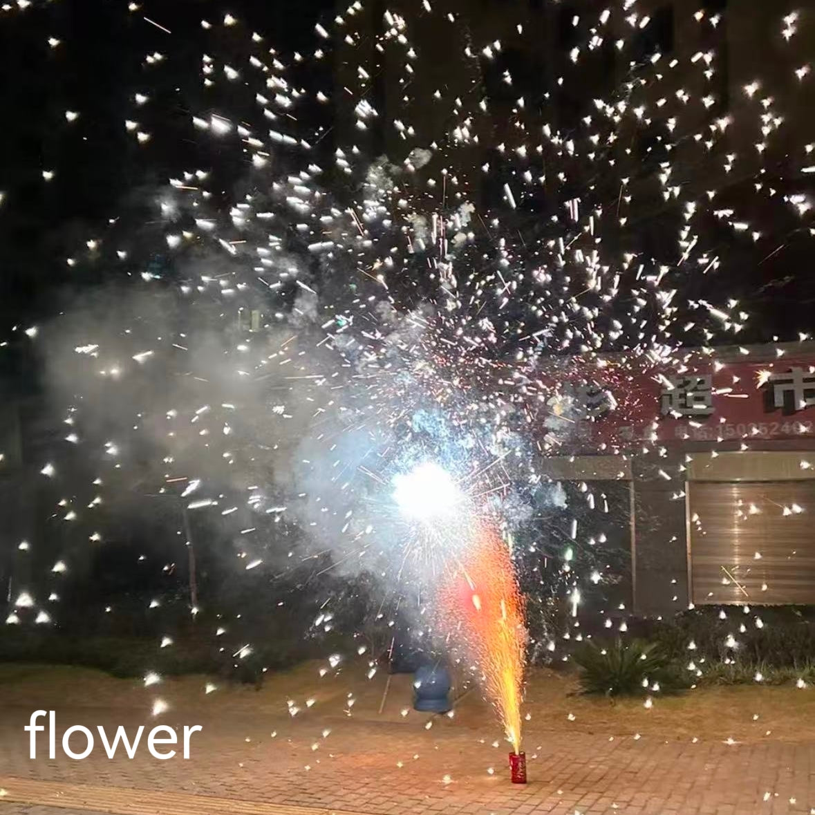 Fireworks (flower)