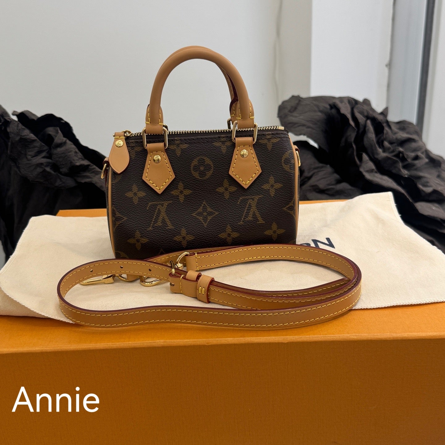 LV Bag Gifts（Annie）