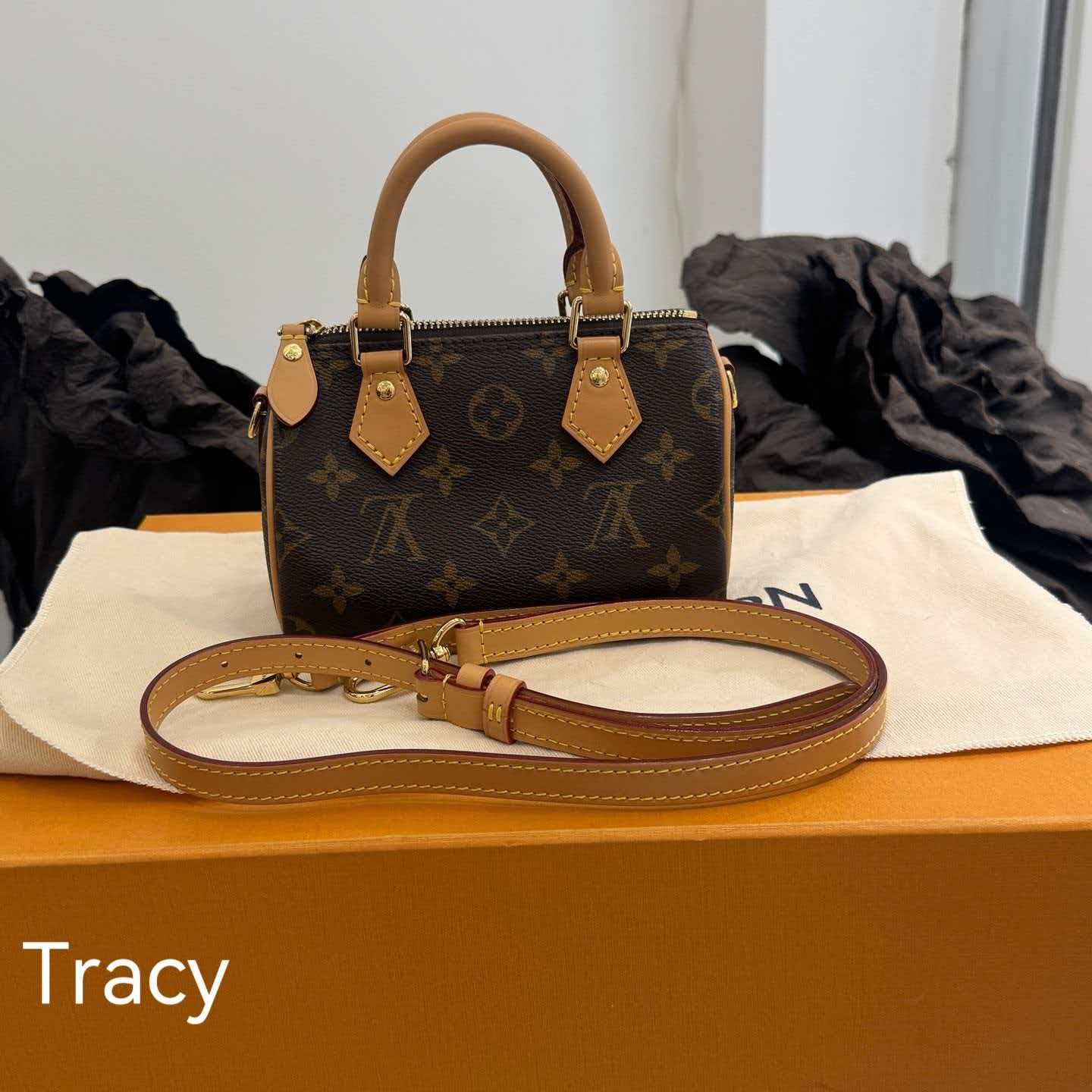 LV Bag Gifts（Tracy）
